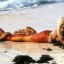 Seule sur le sable, les yeux dans l'eau...